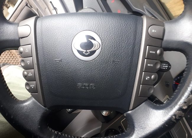 
								SsangYong Stavic Aut. full									